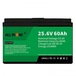 25.6V 60Ah safety/long life LFP battery for RV/Caravan/UPS/Golf Cart 24V 60Ah