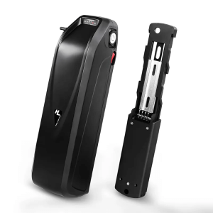 హైలాంగ్ ఎలక్ట్రిక్ స్కూటర్ ebike బ్యాటరీ 48V 15Ah